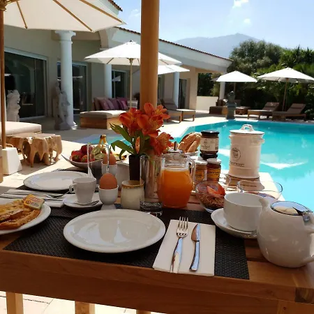 Torrella 빌라 아작시오